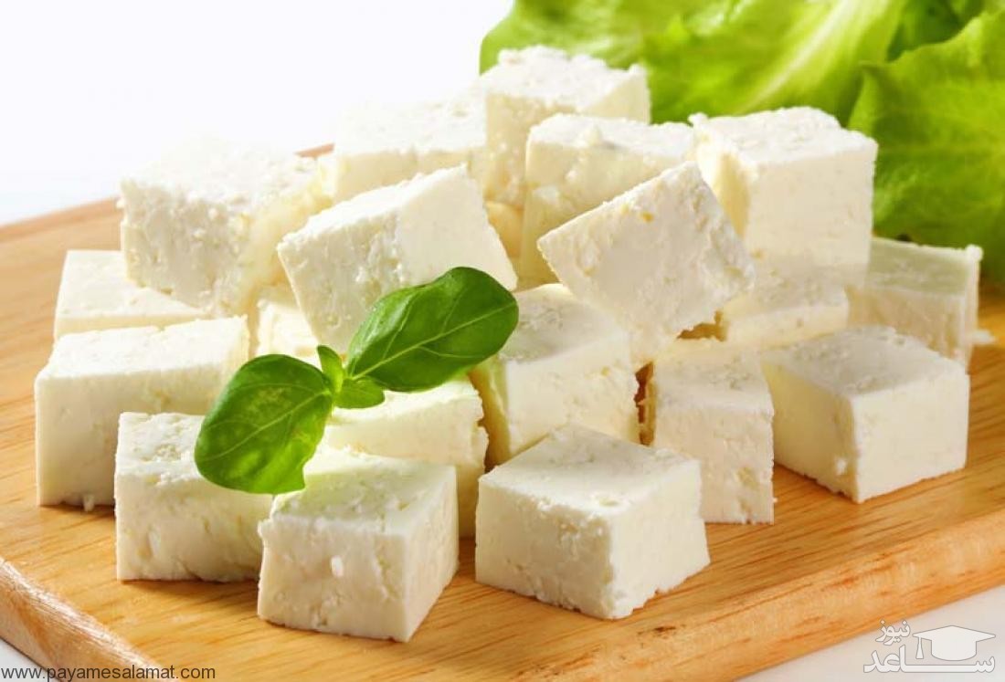تاثیر پنیر برروی افزایش طول عمر