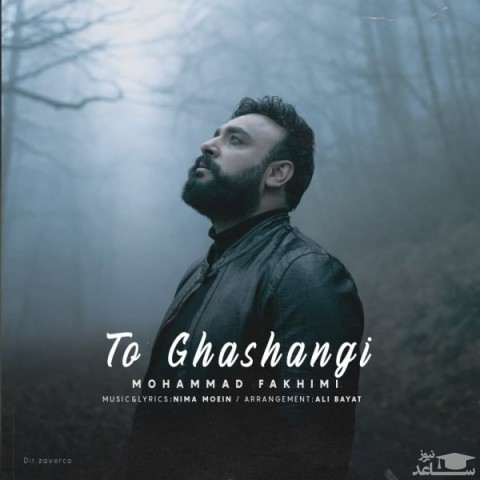دانلود آهنگ تو قشنگی از محمد فخیمی