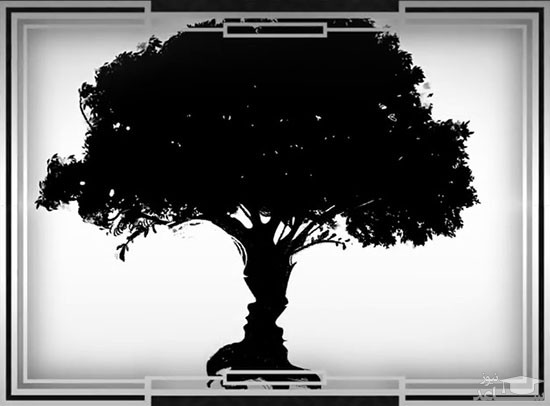 تصاویری که شخصیت واقعی شما را آشکار می‌کنند!