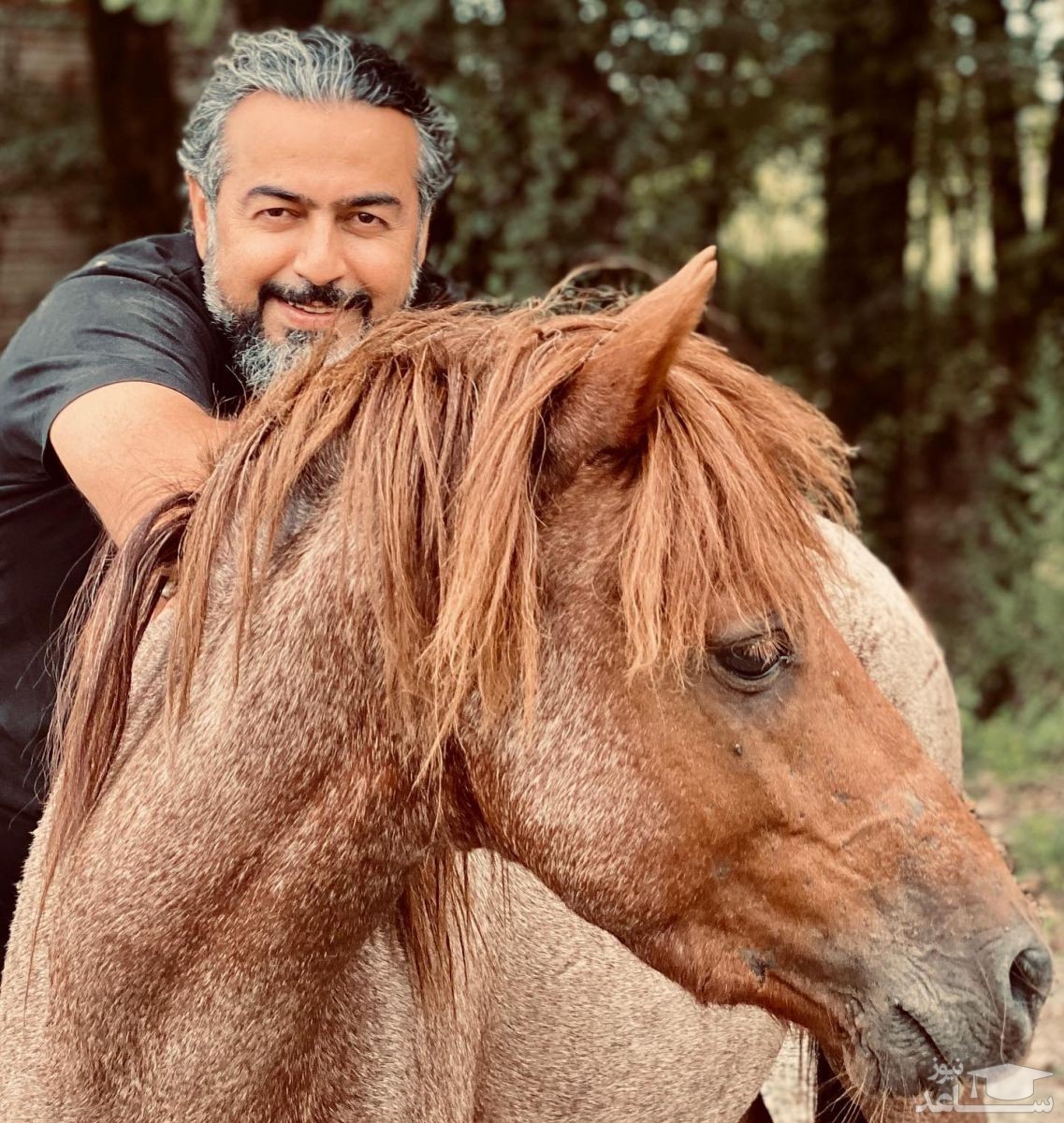 (فیلم) آواز دلنشین همای برای اسب زیباروی خود