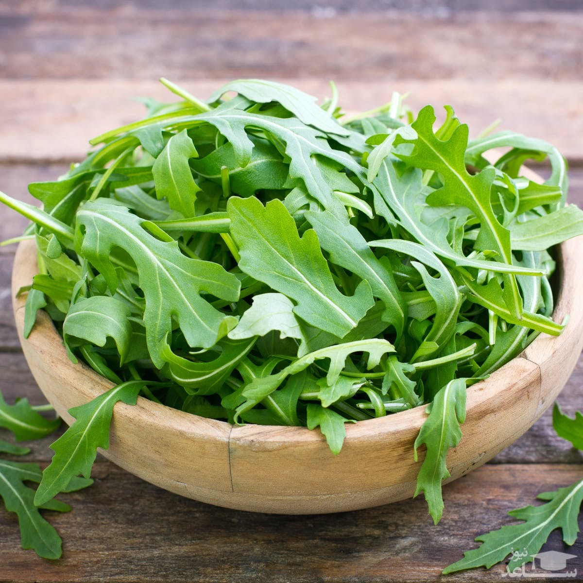 کلم آروگولا