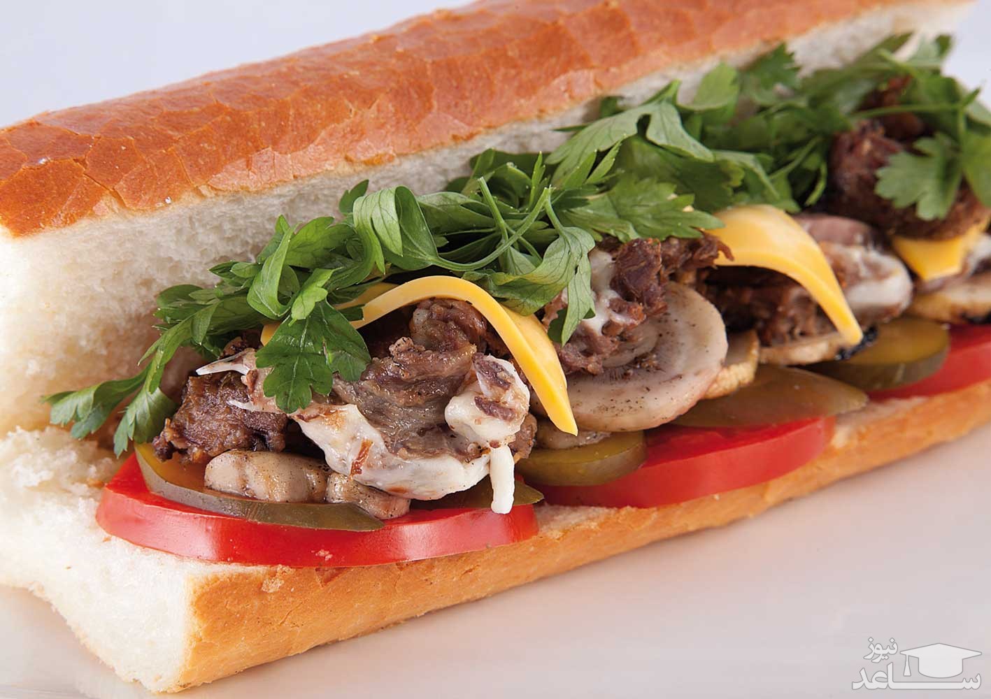 طرز تهیه ساندویچ زبان