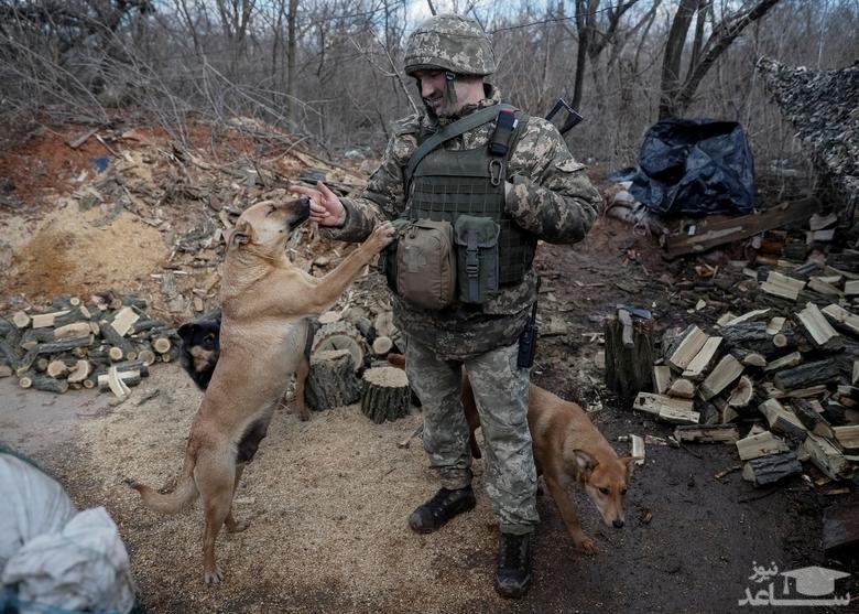 نیروی ارتش اوکراین در خط مقدم در برابر شورشیان جدایی طلب در منطقه دونباس در شرق اوکراین/ رویترز