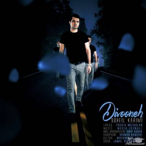 دانلود آهنگ دیوونه از سهیل کریمی