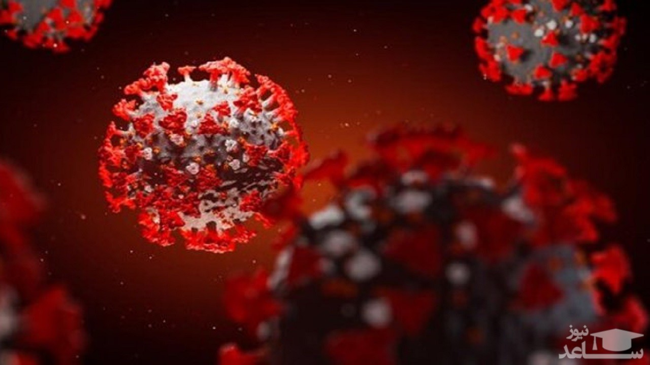 مشهد به مدت یک هفته تعطیل می‌شود