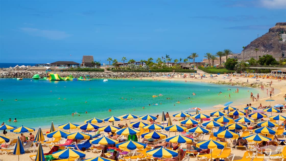 جزایر قناری