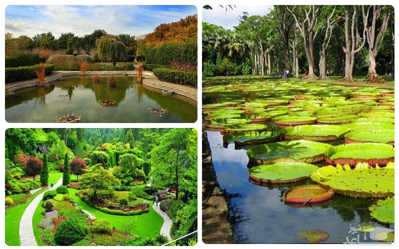 باغ گیاه شناسی ملی ایران 