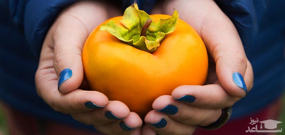 فواید و عوارض مصرف خرمالو در دوران بارداری