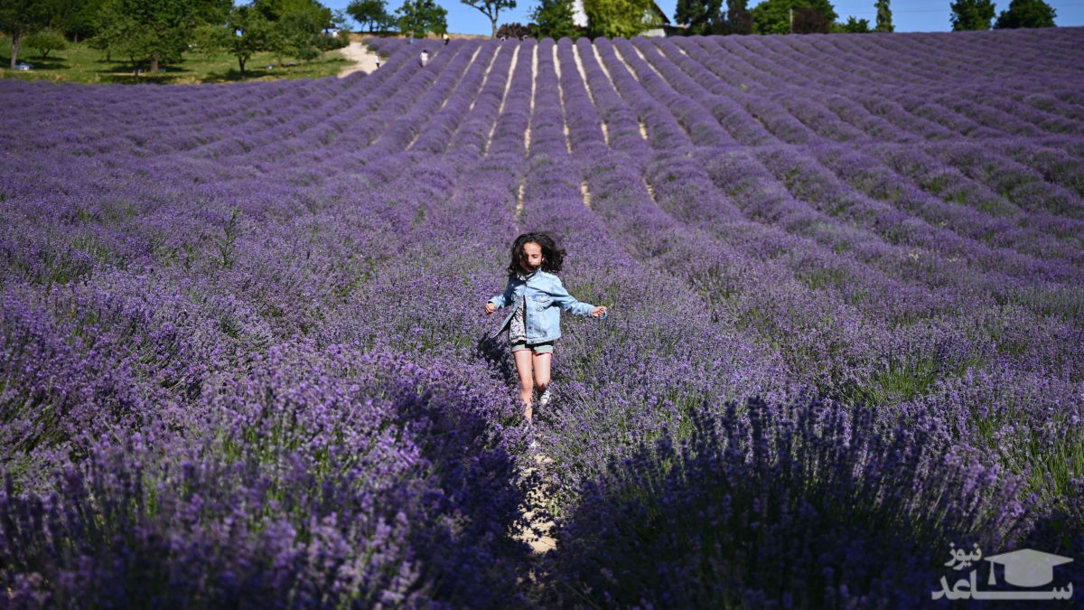 دختربچه 10 ساله بر اثر پیری درگذشت