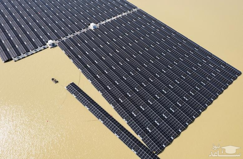 نصب پنل های خورشیدی روی دریاچه ای در آلمان/ رویترز