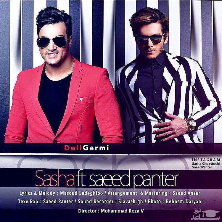 دانلود آهنگ دلگرمی از سعید پانتر