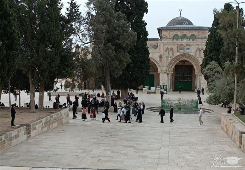 تعرض شهرک‌نشینان صهیونیست به مسجدالاقصی برای چهارمین روز متوالی