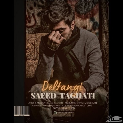دانلود آهنگ دلتنگی از سعید طاقتی