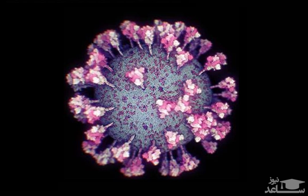 انتشار دقیق‌ترین و به‌روزترین تصویر از ویروس کووید-۱۹