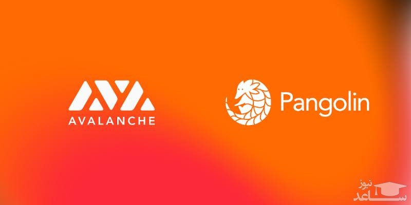 صرافی پنگولین (PNG) 