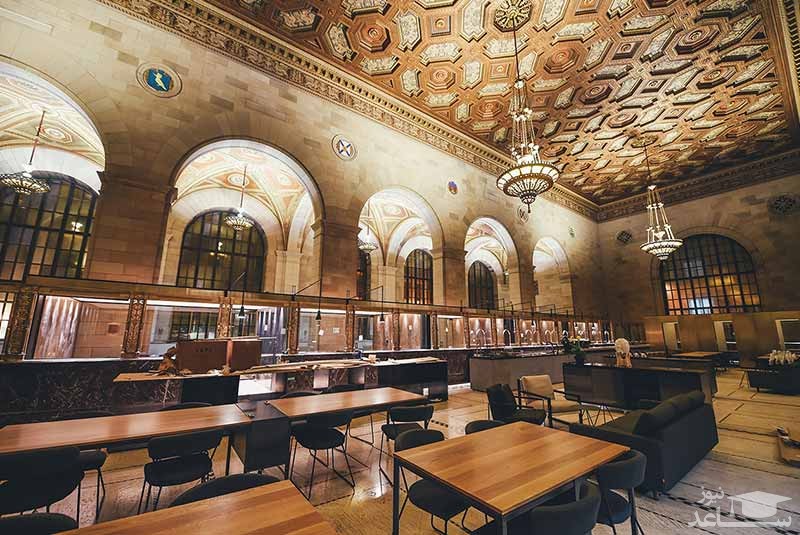 کرو کالکتیو اند کافه