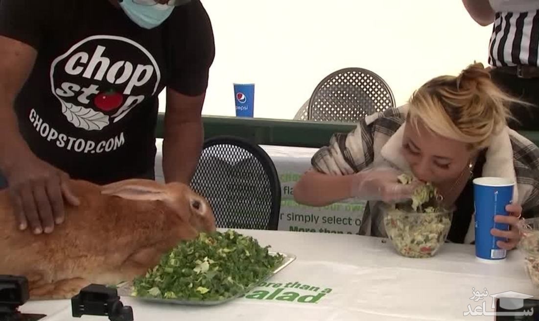 (فیلم) مسابقه سالادخوری یک زن با خرگوش