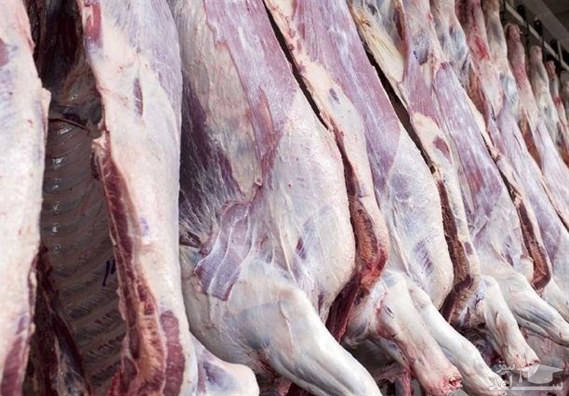 فروش گوشت تنظیم بازاری به ستاد مبارزه با قاچاق کالا