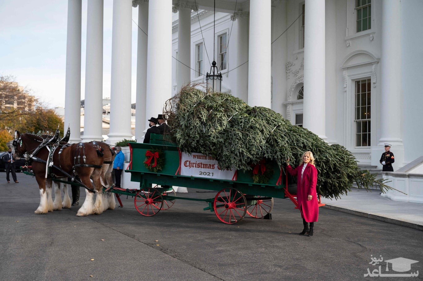 جیل بایدن بانوی اول آمریکا در حال تحویل گرفتن درخت کاج کریسمس کاخ سفید/ خبرگزاری فرانسه