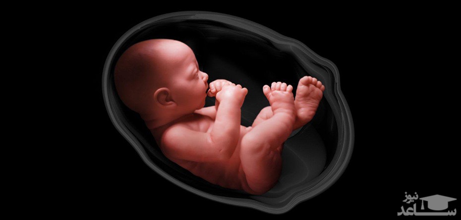 مهم‌ترین دلایل سقط مکرر جنین چیست؟
