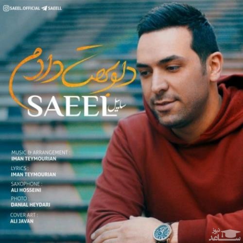 دانلود آهنگ دلو بهت دادم از ساییل