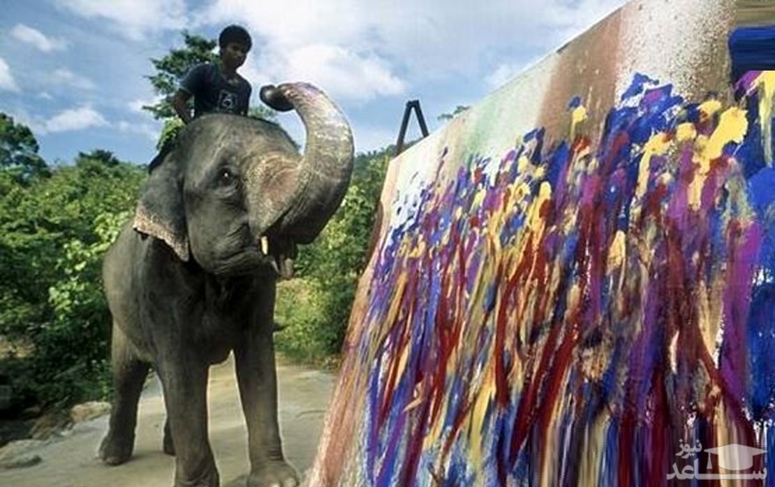 (عکس) تابلوهای گران قیمت فیل های نقاش