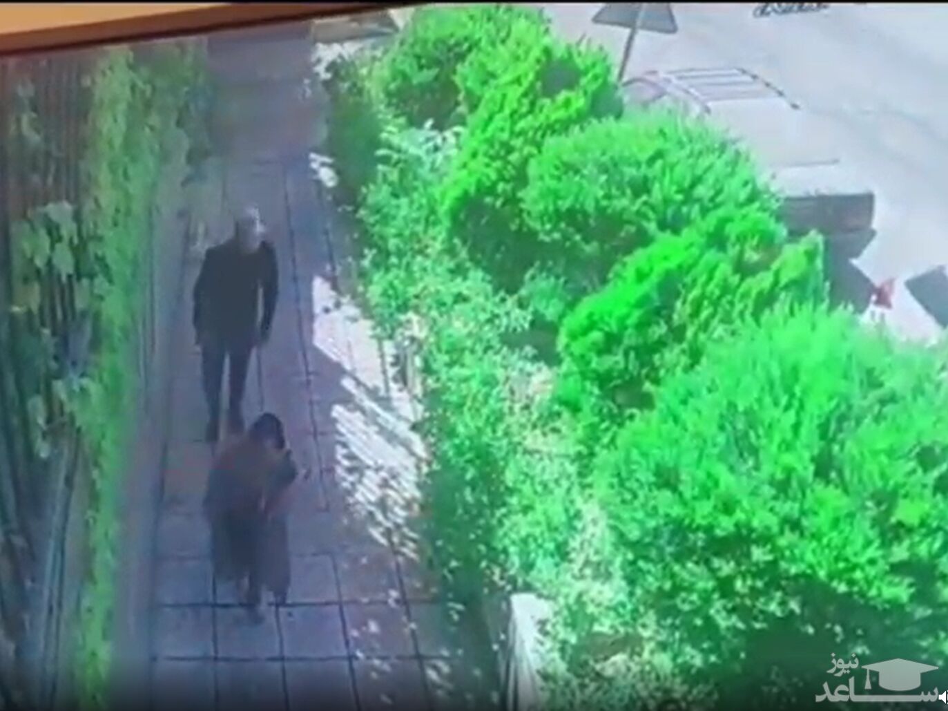 (فیلم) زورگیری وحشیانه از یک خانم در ولنجک تهران
