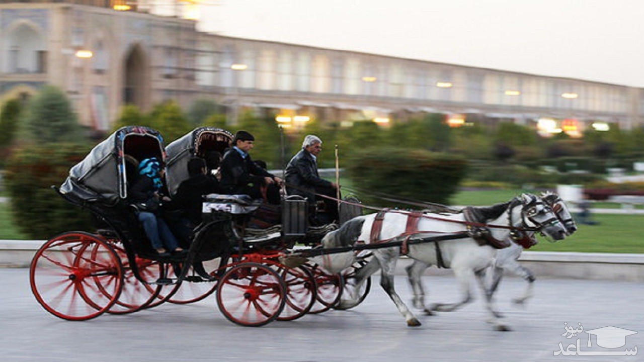 (فیلم) دستی کشیدن با درشکه! 