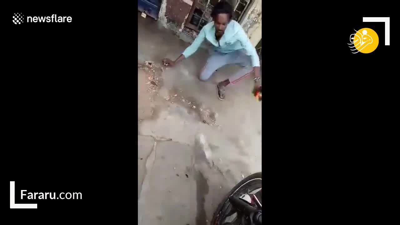 (فیلم) عاقبت بوسیدن ناشیانه سر مار کبرا