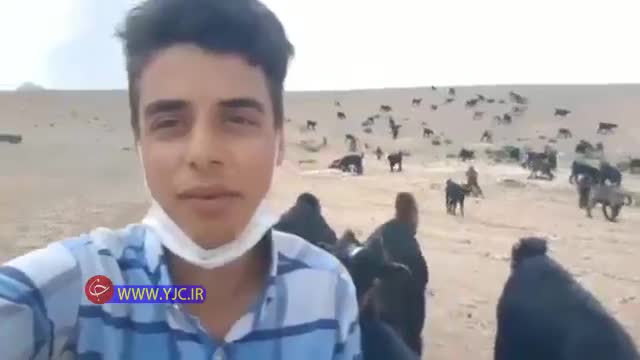 (فیلم) آوازخوانی بسیار زیبای جوان چوپان سوژه رسانه‌ها شد