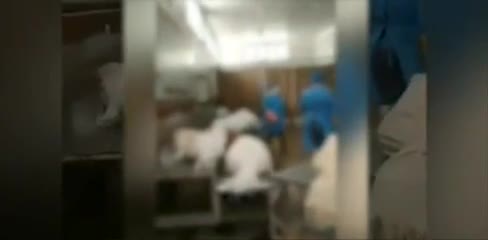 (فیلم) ماجرای کلیپ سردخانه بهشت معصومه در قم