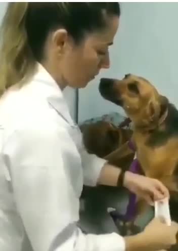 سگی که عاشق پرستار خود شد!