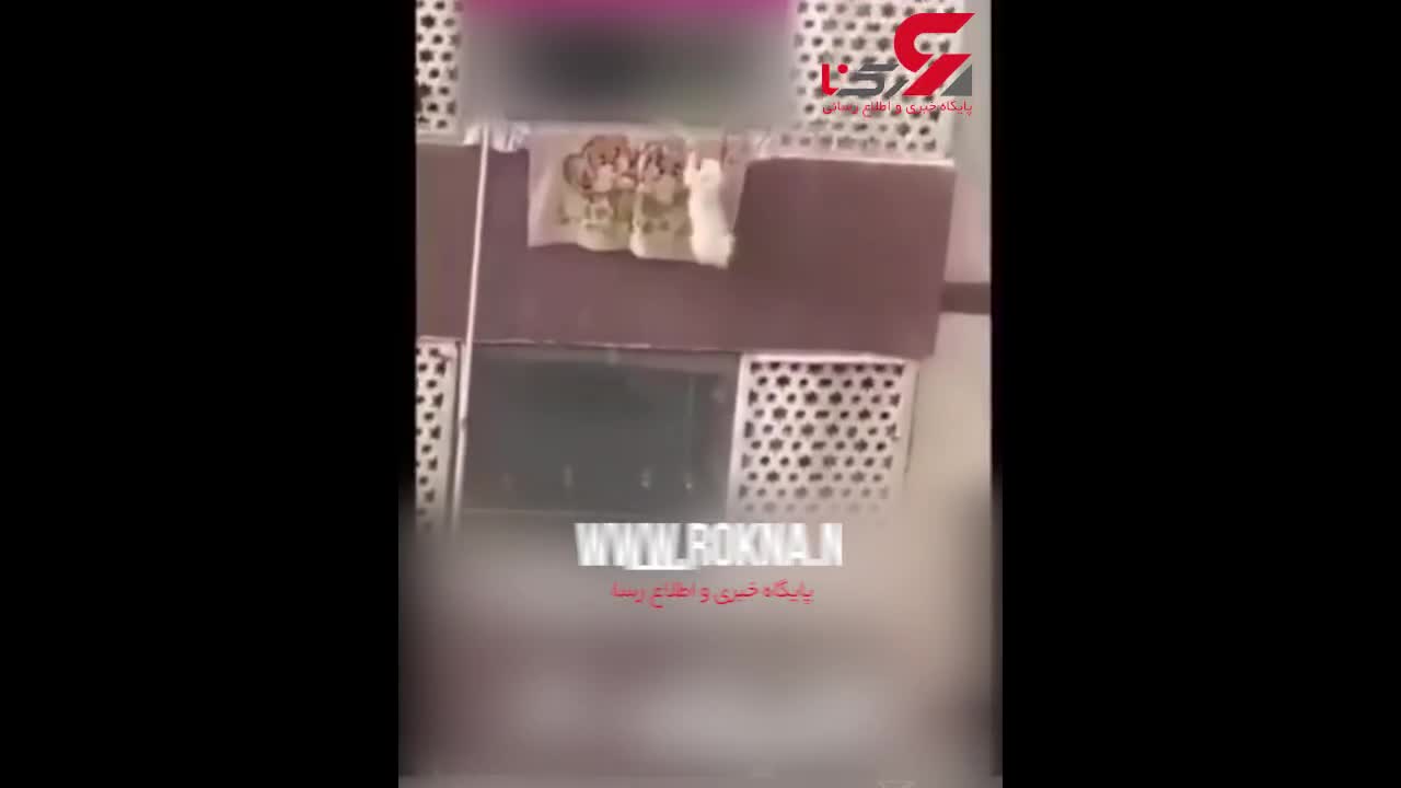 فیلم سگ آزاری یک زن تهرانی در اتوبان بابایی تهران