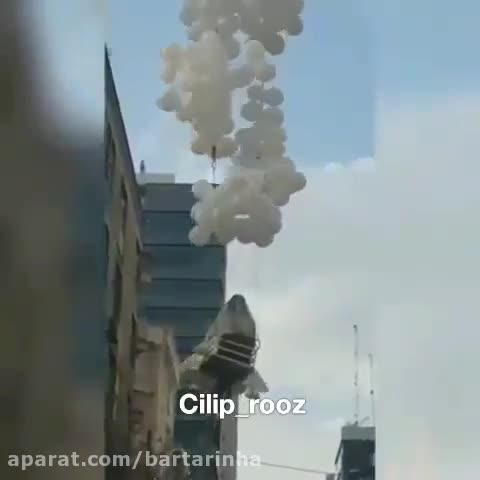 (فیلم) عروسی لاکچری در تهران با عروسِ پرنده!