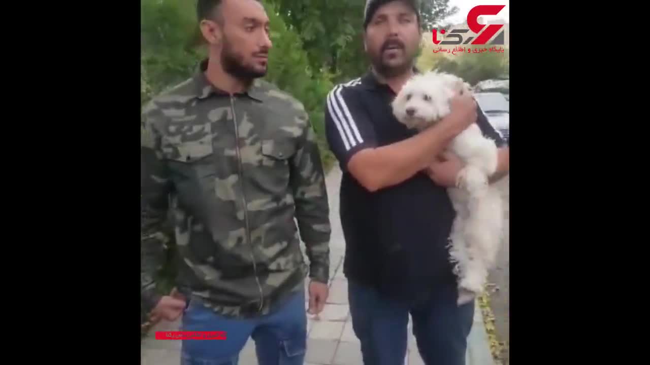 (فیلم) نجات سگ نگون‌بخت از چنگال زن تهرانی