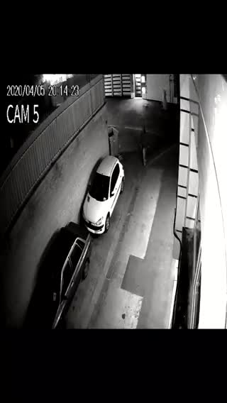 (فیلم) سرقت ۲۰۶ در کسری از ثانیه!