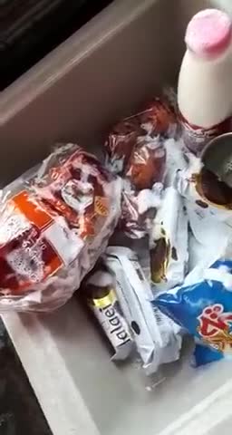 خیر نبینی کرونا!