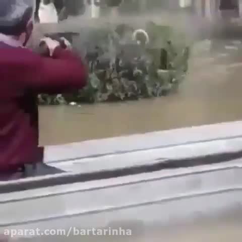 هجوم مارها به آق‌قلای سیل‌زده