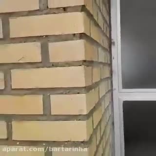 توضیح بهزیستی درباره مادر و پسرِ ساکنِ توالت