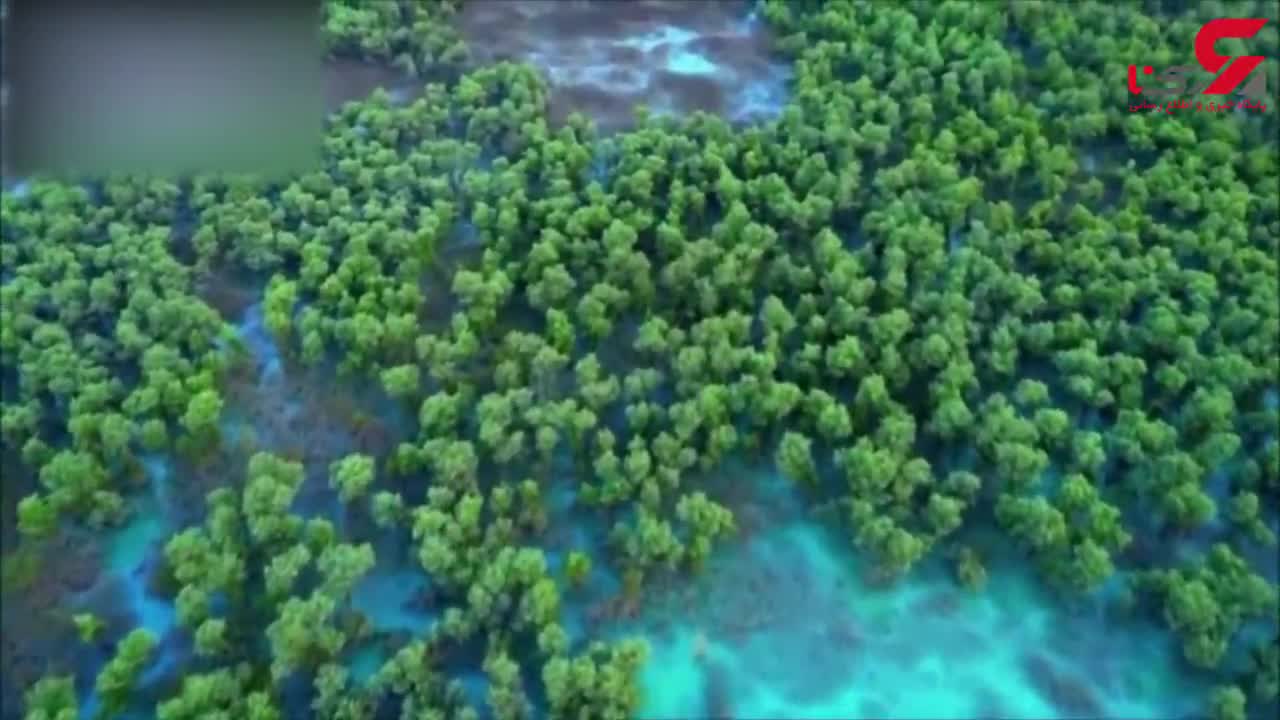 (فیلم) تصاویری فوق‌العاده زیبا از طبیعت ایران که هرگز آن را ندیده‌اید