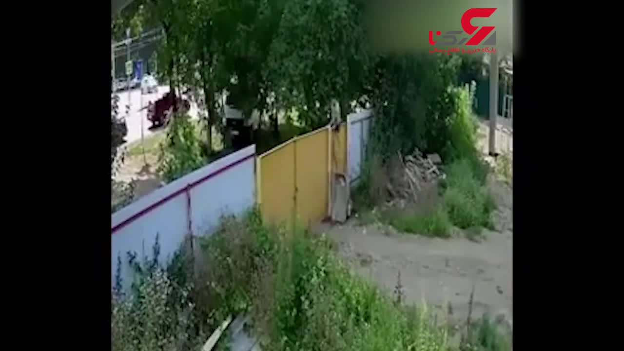 (فیلم) خنده دار ترین فیلم از یک دزدی / پت ومت واقعی را بشناسید!
