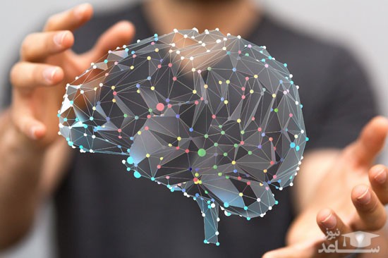 آیا هوش مصنوعی، انسان را نامیرا خواهد کرد؟