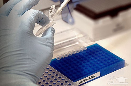 خالص‌سازی DNA برای تشخیص بیماری‌ها در کشور امکان پذیر شد.