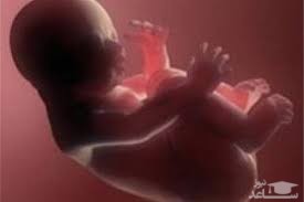تشخیص جنسیت جنین با آزمایش خون