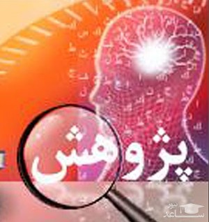 پشتیبانی صندوق حمایت از پژوهشگران و فناوران از 46 پروژه پژوهشی