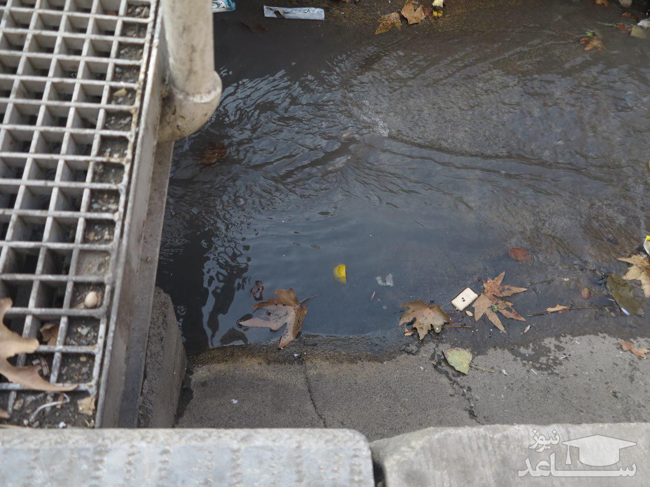 3 دختر نوجوان مورد تجاور مرد افغانی قرار گرفتند