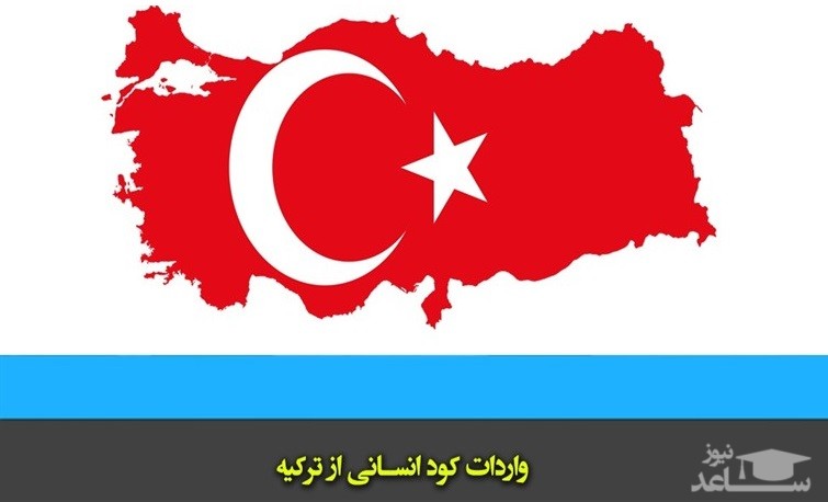 واردات "کود انسانی" از ترکیه به ایران؛ چرا و چگونه؟!