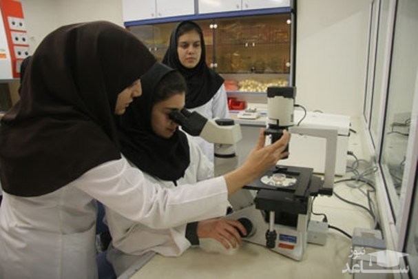 اعلام جزئیات پذیرش دانشجوی دکترای پژوهشی در دانشگاه علوم پزشکی شهید بهشتی
