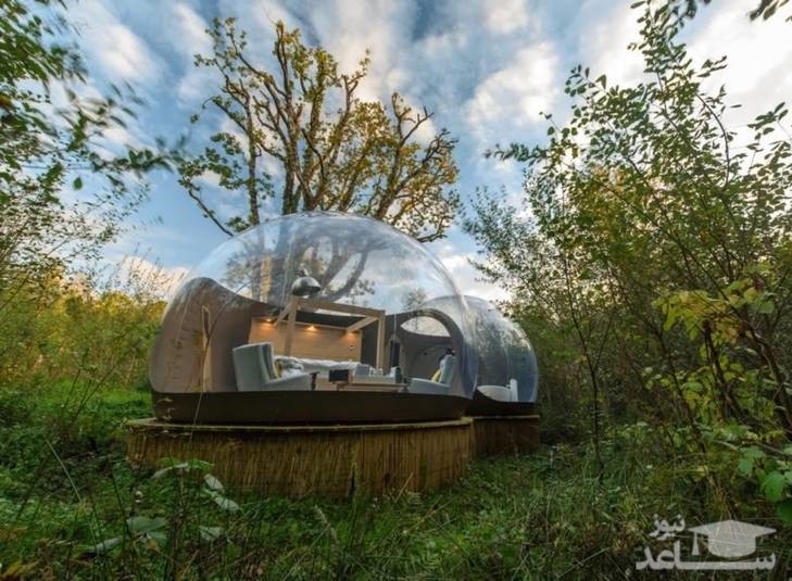 ساخت هتل‌های حبابی در وسط جنگل/عکس