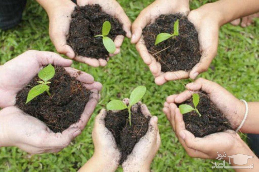 فضای مجازی بستری برای آگاهی زیست محیطی